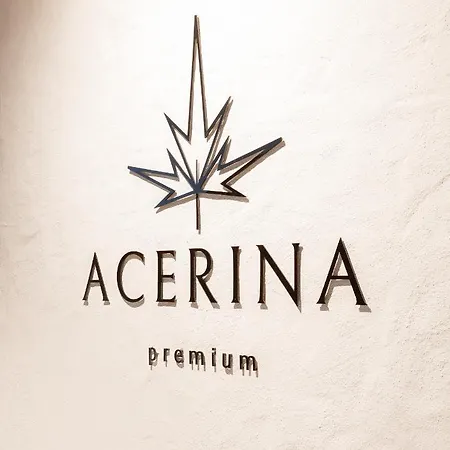 Apartment Acerina Premium Apartments *