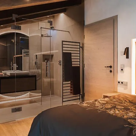 Acerina Premium Apartments Apartment *